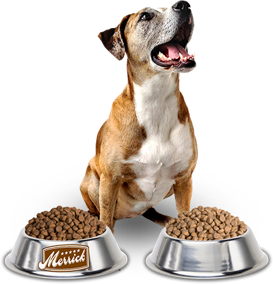 pngimg.com-dog_food_PNG37